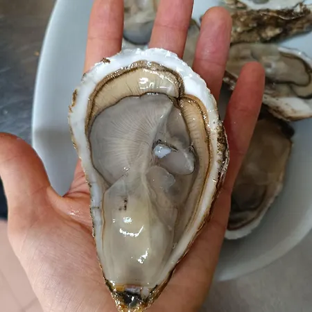 Da Micchele Vasto