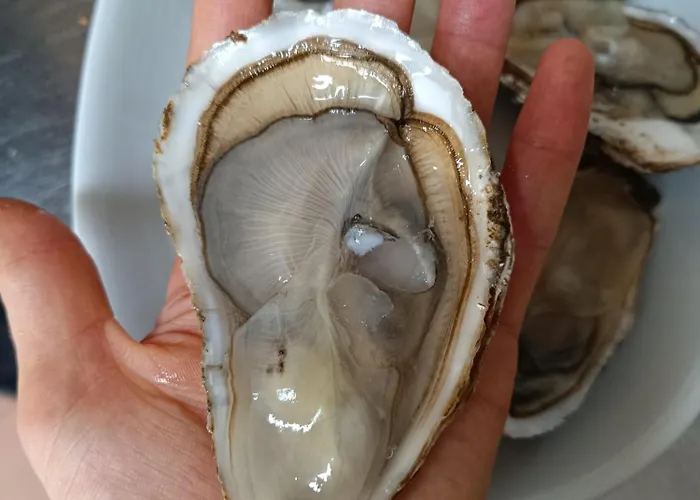 Da Micchele 바스토